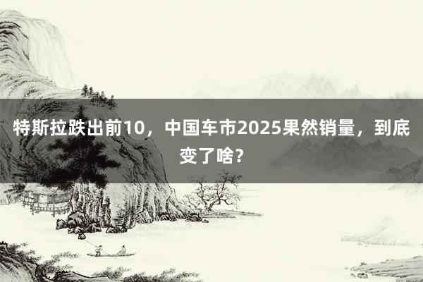 特斯拉跌出前10，中国车市2025果然销量，到底变了啥？